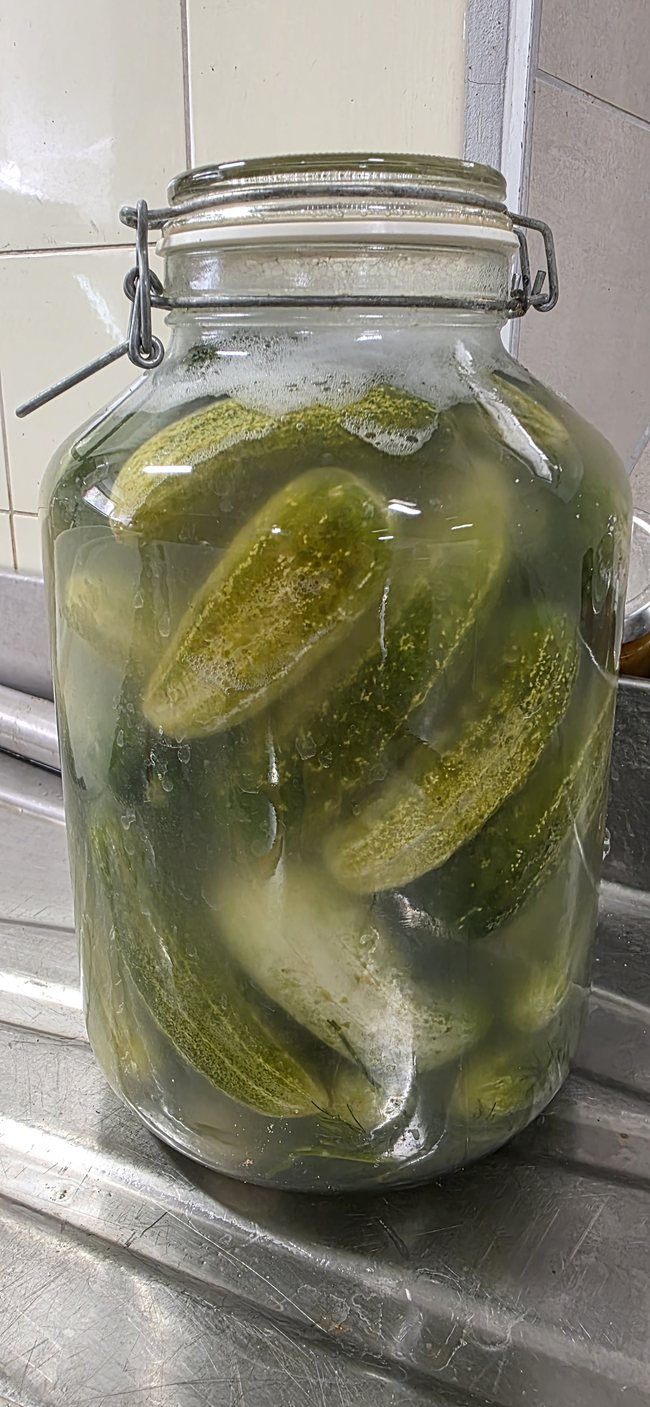 Glas mit fermentierten Gurken in leicht trüber Salzlake